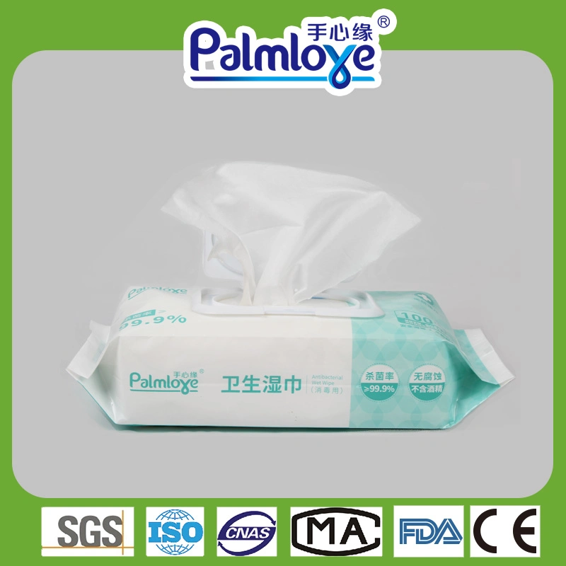 Hygiene Wet Wipes, Antibacterial Wet Wipes